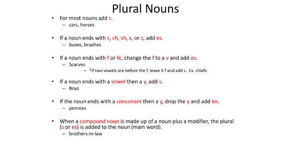 Possessive, Plural, Or Contraction? - ProProfs Quiz